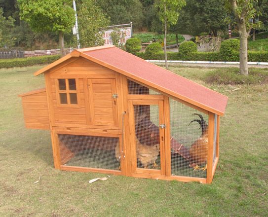 WOOD CHICKEN COOP